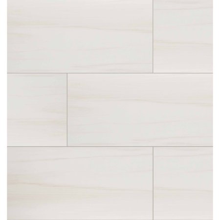 MSI Eden Dolomite 24 In. X 48 In. Polished Porcelain Floor And Wall Tile, 2PK ZOR-PT-0199
